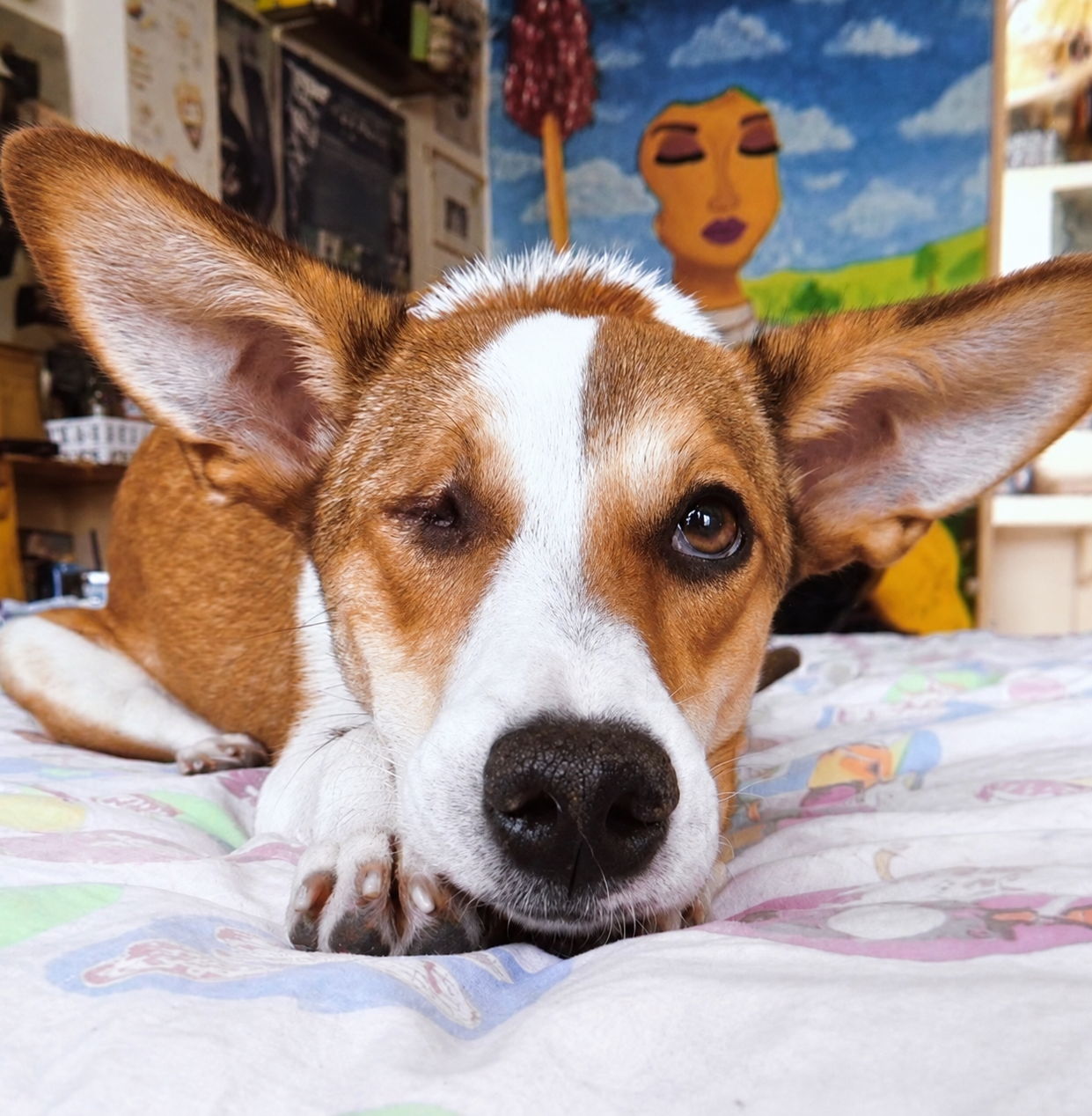Milo